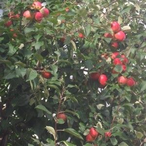 Meet your Posher, Edith